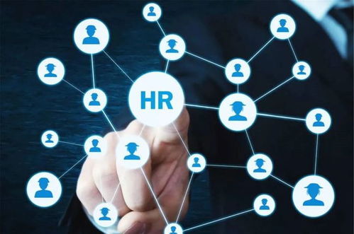 農業“新農人” 想做風口上的“智能豬”，技術開發能力不可少