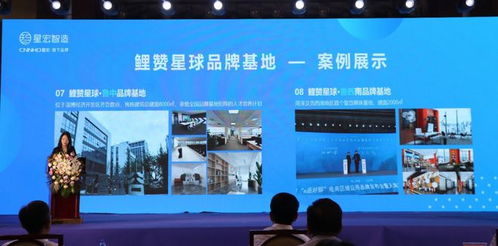 順勢而為，智贏未來 星宏科技助力煙臺外貿企業轉型升級